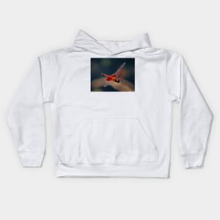 Red Skimmer In Mid-Air Kids Hoodie